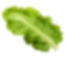 NutriPure